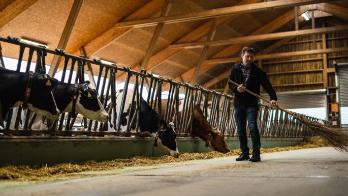Lurweid Dairy Farm_Pfister_Esslingen_Arbeit