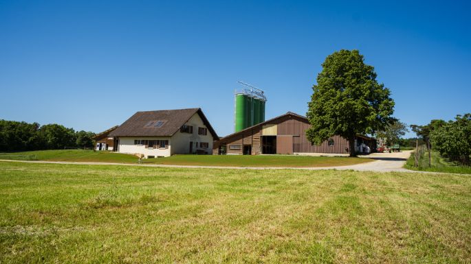 Milchwirtschaftsbetrieb Dommen_Dommen_Wittnau_Hof