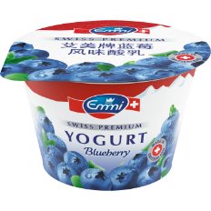 SPY-Yogurt-100-g-China-Blueberry