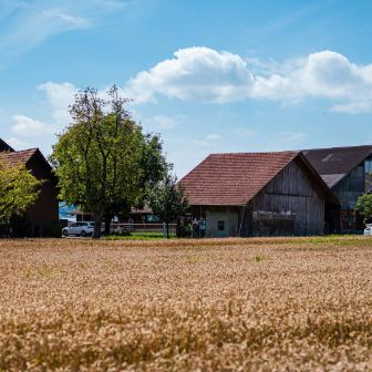 Bunnau_Burkart_Meerenschwand_Hof